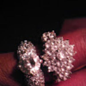 Meet your Posher, Greg